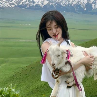 阿洛伊丝
